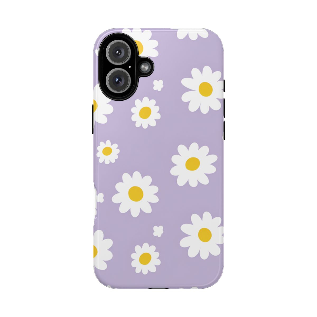 Daisy Dreams